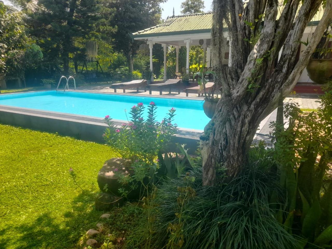 Tranquility Guest House Hikkaduwa Exterior foto