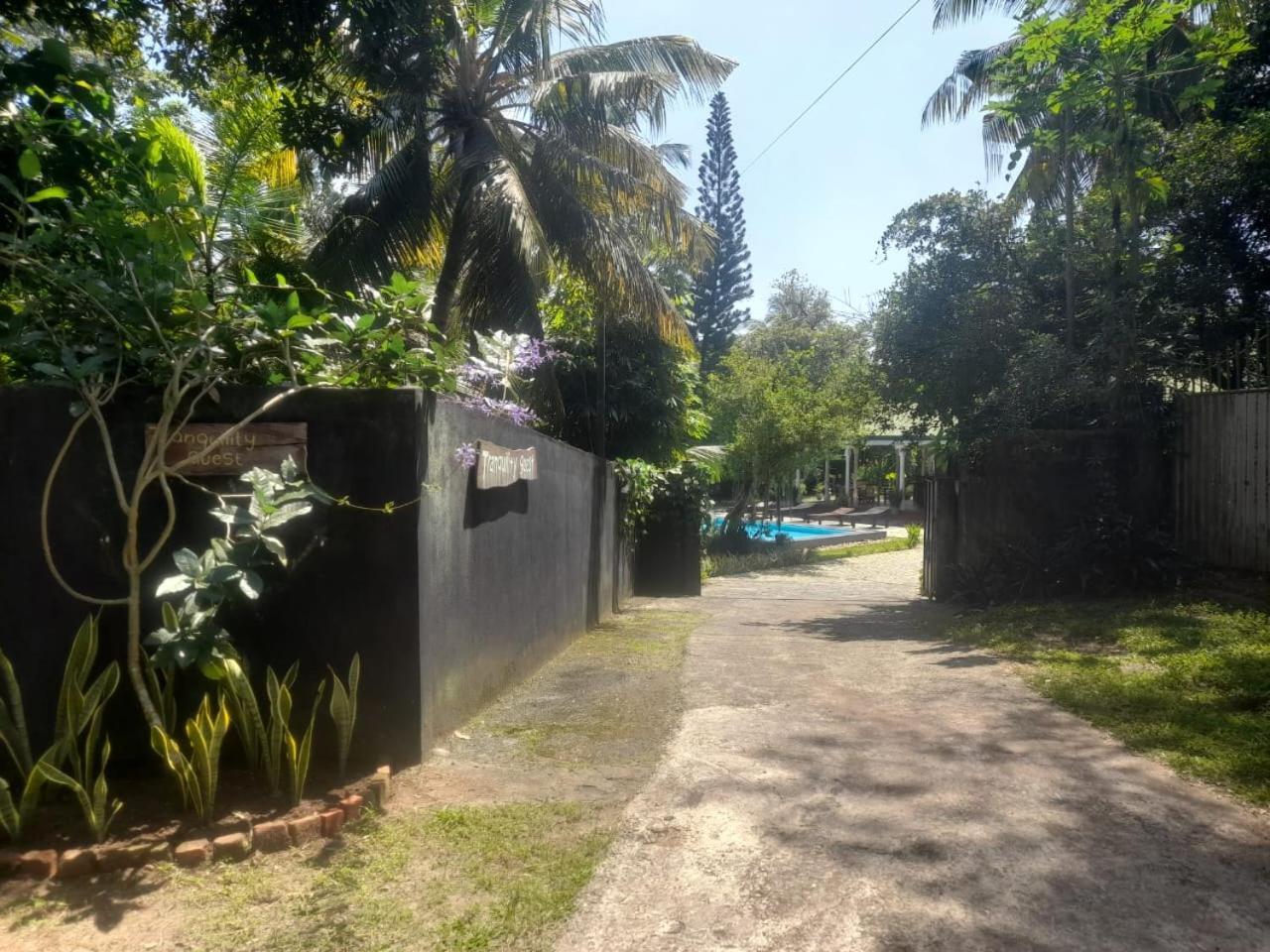 Tranquility Guest House Hikkaduwa Exterior foto