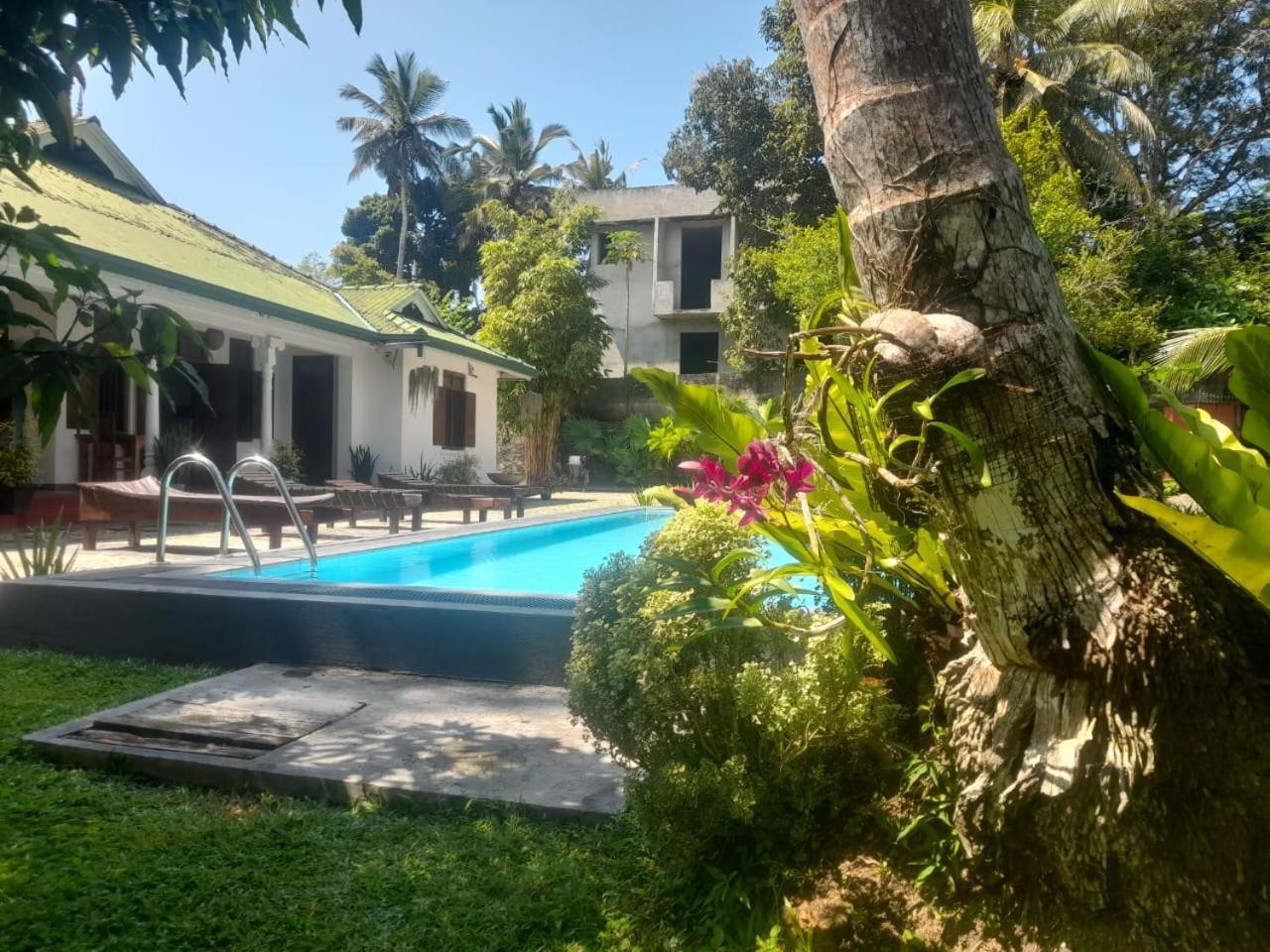 Tranquility Guest House Hikkaduwa Exterior foto